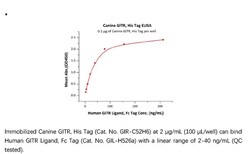 ACROBiosystems ACROBiosystems Canine GITR / TNFRSF18 Protein, His Tag,