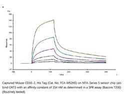 ACROBiosystems ACROBiosystems Mouse Fc gamma RIV / CD16-2 Protein, His