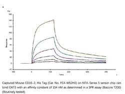 ACROBiosystems ACROBiosystems Mouse Fc gamma RIV / CD16-2 Protein, His
