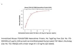 ACROBiosystems ACROBiosystems Mouse Integrin alpha V beta 8 (ITGAV&ITGB8)