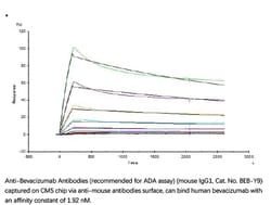 ACROBiosystems ACROBiosystems Anti-Bevacizumab Antibodies (recommended