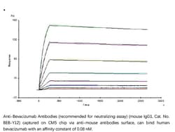 ACROBiosystems ACROBiosystems Anti-Bevacizumab Antibodies (recommended