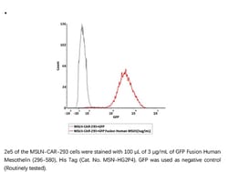 ACROBiosystems ACROBiosystems GFP Fusion Human Mesothelin / MSLN (296-580)