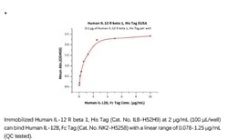 ACROBiosystems ACROBiosystems Human IL-12 R beta 1 / CD212 Protein, His