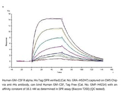 ACROBiosystems ACROBiosystems Human GM-CSF R alpha Protein, His Tag (SPR