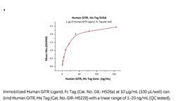ACROBiosystems ACROBiosystems Human GITR / TNFRSF18 Protein, His Tag, Quantity: