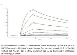 ACROBiosystems ACROBiosystems Human IL-23 R Protein, His Tag, Quantity: