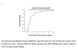 ACROBiosystems ACROBiosystems Human VEGF R2 / KDR Protein, Strep Tag, Quantity: