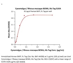 ACROBiosystems ACROBiosystems Cynomolgus / Rhesus macaque BCMA / TNFRSF17