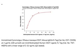 ACROBiosystems ACROBiosystems Cynomolgus / Rhesus macaque CD27 / TNFRSF7