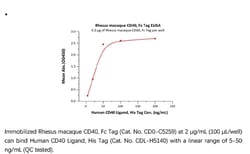 ACROBiosystems ACROBiosystems Rhesus macaque CD40 / TNFRSF5 Protein, Fc