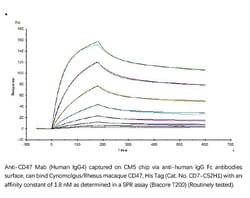 ACROBiosystems ACROBiosystems Cynomolgus / Rhesus macaque CD47 Protein,
