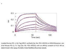 ACROBiosystems ACROBiosystems Mouse PD-L1 / B7-H1 Protein, Fc Tag, Quantity: