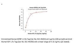 ACROBiosystems ACROBiosystems Human IGFBP-4 Protein, His Tag, Quantity: