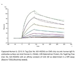 ACROBiosystems ACROBiosystems Human IL-23 alpha&IL-12 beta Heterodimer