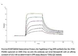 ACROBiosystems ACROBiosystems Porcine FcRn / FCGRT&B2M Heterodimer Protein,