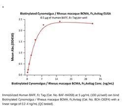 ACROBiosystems ACROBiosystems Biotinylated Cynomolgus / Rhesus macaque