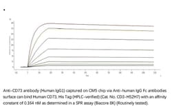 ACROBiosystems ACROBiosystems Human CD73 / NT5E Protein, His Tag (HPLC-verified),
