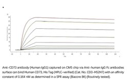 ACROBiosystems ACROBiosystems Human CD73 / NT5E Protein, His Tag (HPLC-verified),