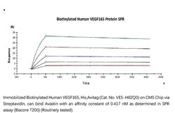 ACROBiosystems ACROBiosystems Biotinylated Human VEGF165 Protein, His,Avitag,