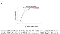 ACROBiosystems ACROBiosystems Rat TIGIT Protein, Fc Tag, Quantity: Each