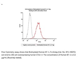 ACROBiosystems ACROBiosystems Biotinylated Human B7-1 / CD80 Protein, Fc,Avitag,