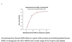 ACROBiosystems ACROBiosystems Biotinylated Human ROR1 Protein, Fc,Avitag,