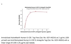ACROBiosystems ACROBiosystems Biotinylated Human G-CSF R / CD114 Protein,
