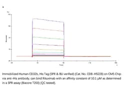 ACROBiosystems ACROBiosystems Human Fc gamma RIIB / CD32b Protein, His