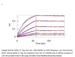 ACROBiosystems ACROBiosystems Human DcR3 / TNFRSF6B Protein, Fc Tag, Quantity:
