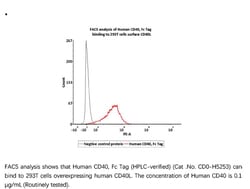 ACROBiosystems ACROBiosystems Human CD40 / TNFRSF5 Protein, Fc Tag (HPLC-verified),
