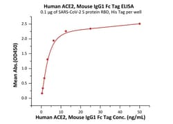 ACROBiosystems Human ACE2 / ACEH Protein, Mouse IgG1 Fc Tag (MALS verified),