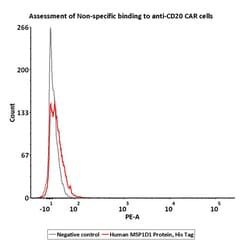 ACROBiosystems Human MSP1D1 Protein, His Tag, Quantity: Each of 1
