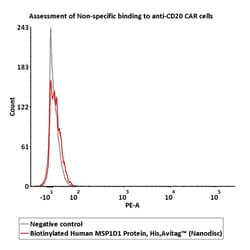 ACROBiosystems Biotinylated Human MSP1D1 Protein, His,Avitag (Nanodisc),