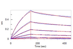 ACROBiosystems Human ASGR1/ASGPR1 Protein, Fc Tag, Quantity: Each of 1