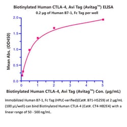 ACROBiosystems Recombinant Protein;Human B7-1 / CD80 Protein, Fc Tag (HPLC-verified);HEK293;100UG;B71,CD80,B7,B7-1,B7.1,BB1,CD28LG,CD28LG1,LAB7,
