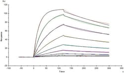 ACROBiosystems Recombinant Protein;Human BAFFR / TNFRSF13C Protein, Llama