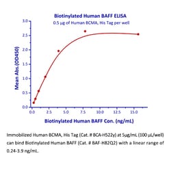 ACROBiosystems Recombinant Protein;Human BCMA / TNFRSF17 Protein,His Tag;HEK293;100UG;BCA,TNFRSF17,CD269,BCM,BCMA,TNFRSF-17,