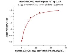 ACROBiosystems Recombinant Protein;Human BCMA / TNFRSF17 Protein, Mouse