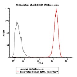 ACROBiosystems Recombinant Protein;Biotinylated Human BCMA / TNFRSF17 Protein,