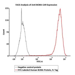 ACROBiosystems FITC-Labeled Human BCMA / TNFRSF17 Protein, Fc Tag, Quantity: