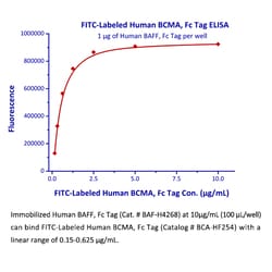 ACROBiosystems Recombinant Protein;FITC-Labeled Human BCMA / TNFRSF17 Protein,