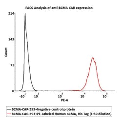 ACROBiosystems PE-Labeled Human BCMA / TNFRSF17 Protein, His Tag, Quantity: