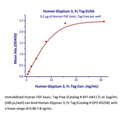 ACROBiosystems Recombinant Protein;Human FGF basic Protein, Tag Free;E.coli;50UG;BFF,FGF2,FGF-2,BFGF,FGFB,FGFβ,FGF-β,FGF