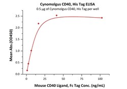 ACROBiosystems Recombinant Protein;Cynomolgus CD40 / TNFRSF5 Protein;HEK293;100UG;CD0,CD40,CD-40,Bp50,Bp-50,CDW40,MGC9013,TNFRSF5,TNFRSF-5,p50,p-50,