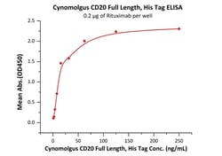 ACROBiosystems Cynomolgus CD20 / MS4A1 Full Length Protein, His Tag, Quantity: