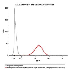 ACROBiosystems Biotinylated Human CD20 / MS4A1 Full Length Protein, His,Avitag