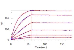 ACROBiosystems Human Siglec-3 / CD33 Protein, Fc Tag, Quantity: Each of