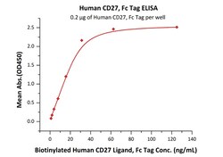 ACROBiosystems Human CD27 / TNFRSF7 Protein, Fc Tag, Quantity: Each of