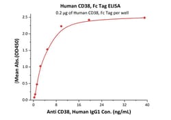 ACROBiosystems Recombinant Protein;Human CD38 Protein, Fc Tag;HEK293;50UG;CD8,CD38,T10,cADPr